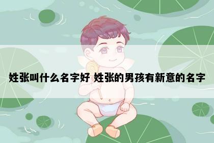 姓张叫什么名字好 姓张的男孩有新意的名字